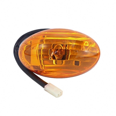 Logo aanpassen Foton Aumark Truck Ollin Car Door Light met prestaties en 12V rechts