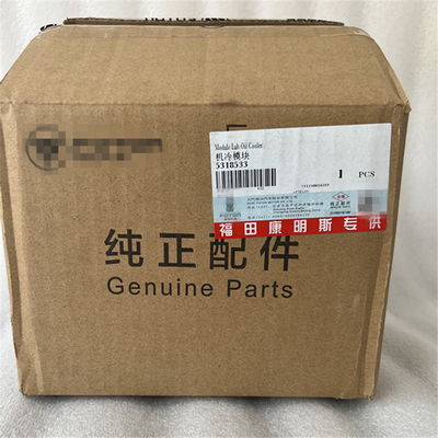Foton Aumark Truck Series koelmodule 5318533 met buitenverpakking Grootte 25cm*12cm*25cm