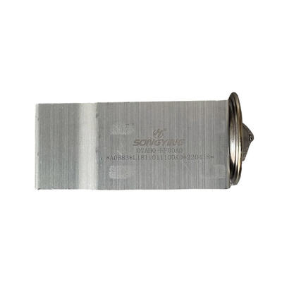 OE NO. L1811011100A0 Uitbreidingsklep voor 2.4 motor Fukuda Omac S3 S5 Ohling CTS